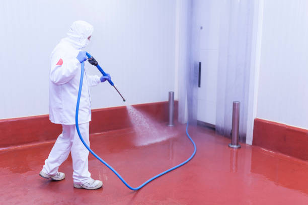 Best Sidewalk and Walkway Cleaning  in Magnolia, MS