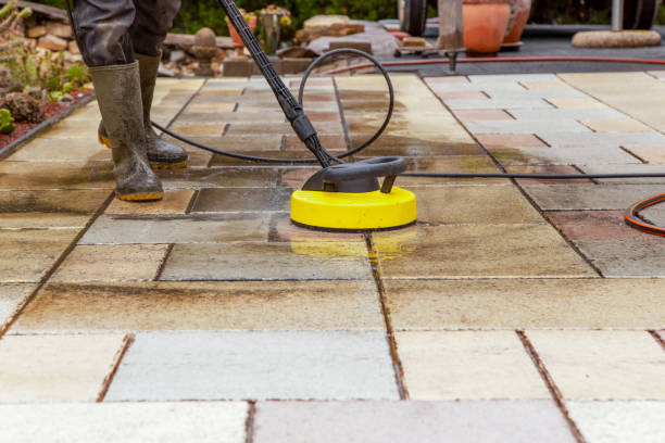 Best Boat and Dock Cleaning  in Magnolia, MS